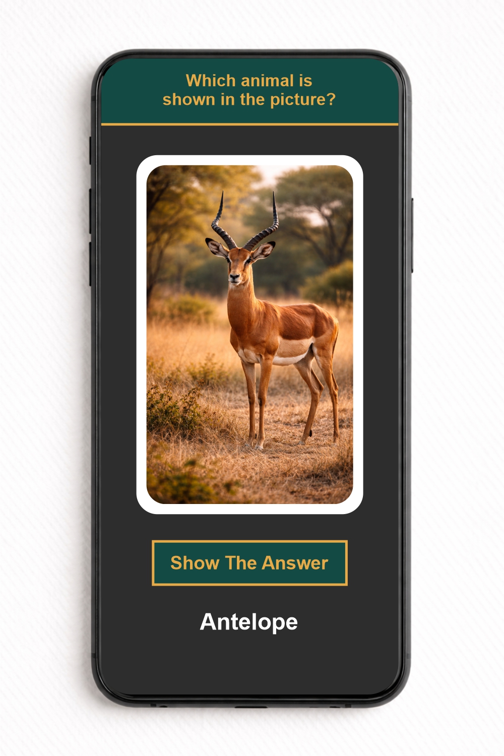 Which animal is shown in the picture? - NFC Card - Image 2