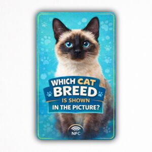 Which cat breed is shown in the picture? - NFC Card