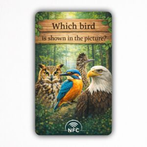 Which bird is shown in the picture? - NFC Card