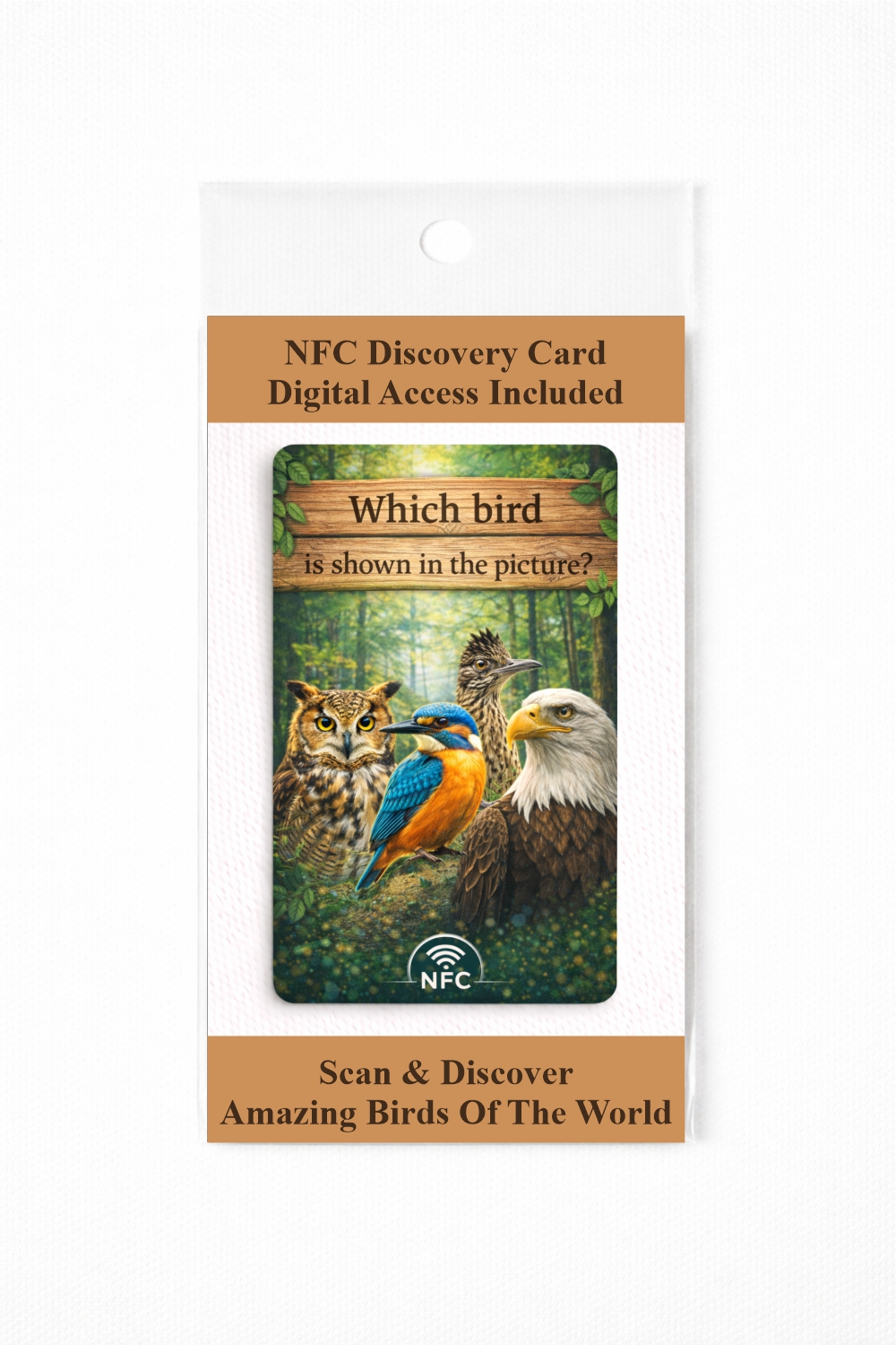 Which bird is shown in the picture? - NFC Card - Image 3