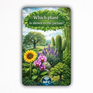 Which plant is shown in the picture? - NFC Card