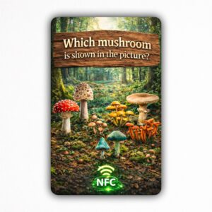 Which mushroom is shown in the picture? - NFC Card