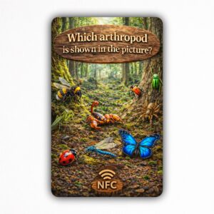 Which arthropod is shown in the picture? - NFC Card