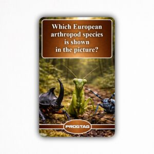 Which European arthropod species is shown in the picture? - NFC Card