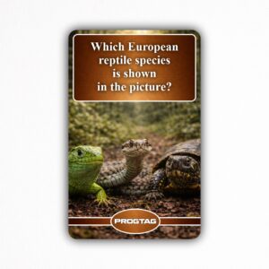 Which European reptile species is shown in the picture? - NFC Card