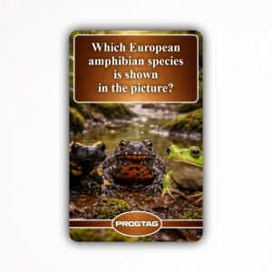 Which European amphibian species is shown in the picture? - NFC Card