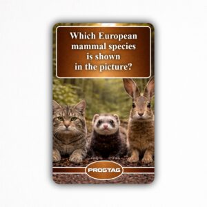 Which European mammal species is shown in the picture? - NFC Card