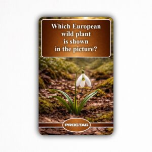 Which European wild plant is shown in the picture? - NFC Card