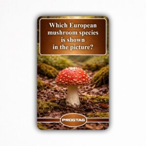 Which European mushroom species is shown in the picture? - NFC Card