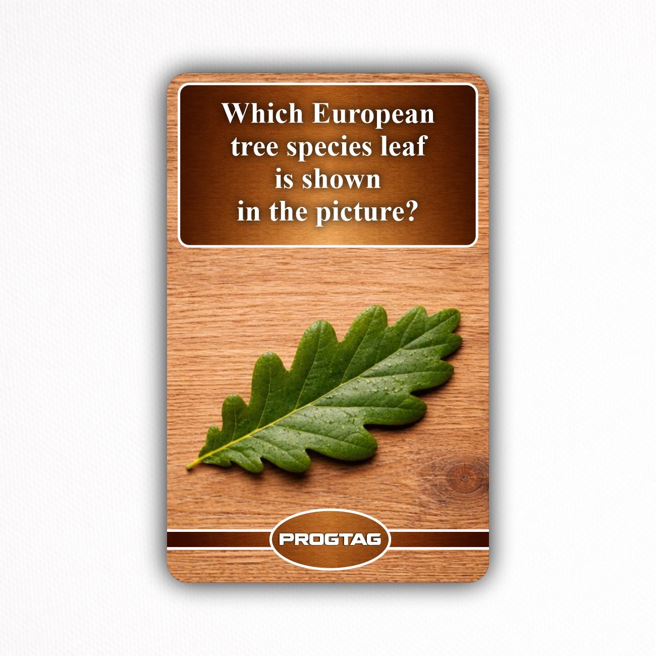 Which European tree species leaf is shown in the picture? - NFC Card