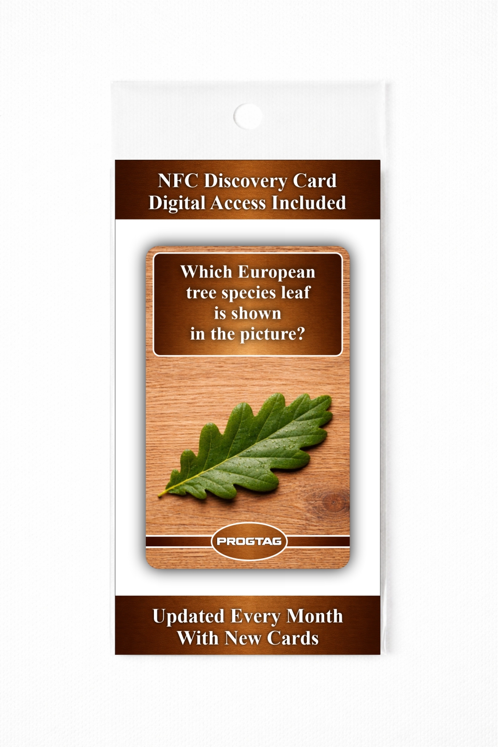 Which European tree species leaf is shown in the picture? - NFC Card - Image 3