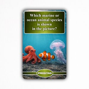 Which marine or ocean animal species is shown in the picture? - NFC Card