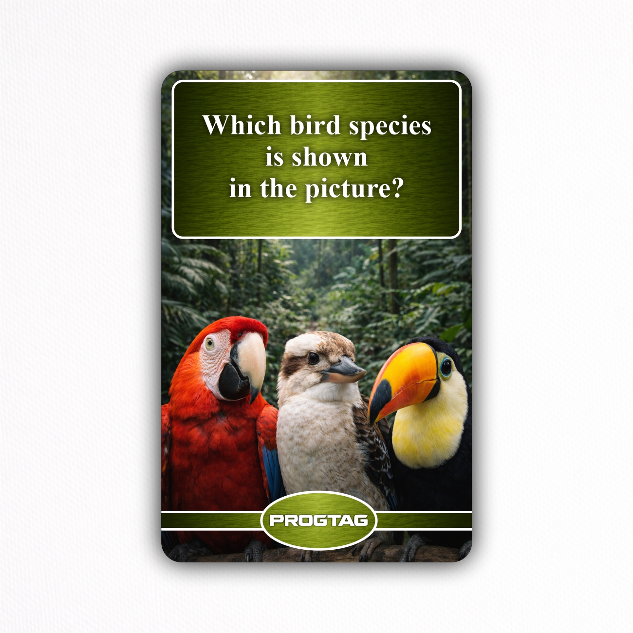 Which bird species is shown in the picture? - NFC Card