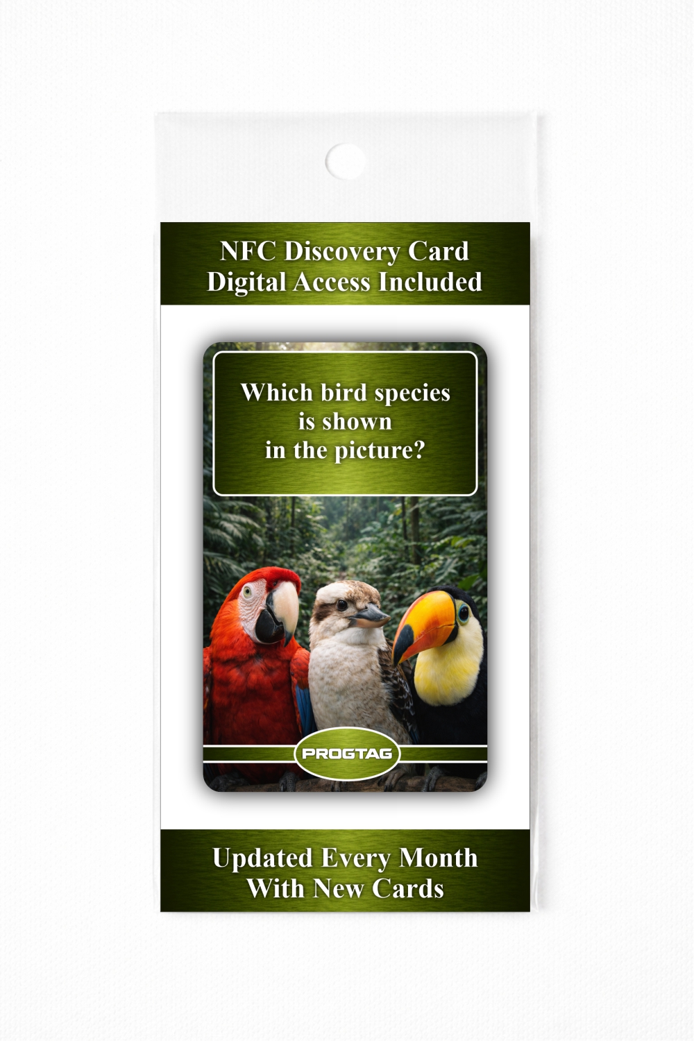 Which bird species is shown in the picture? - NFC Card - Image 3