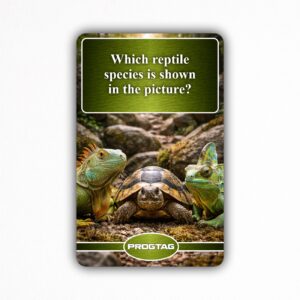 Which reptile species is shown in the picture? - NFC Card