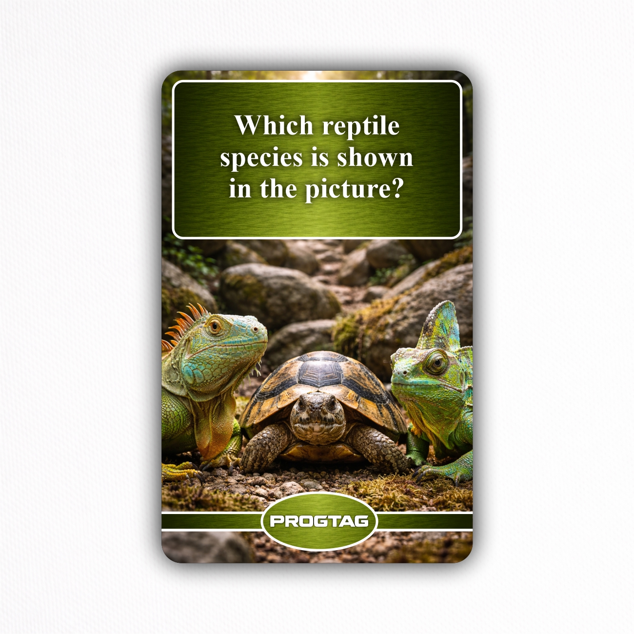 Which reptile species is shown in the picture? - NFC Card
