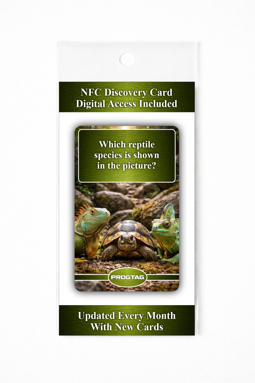 Which reptile species is shown in the picture? - NFC Card - Image 3