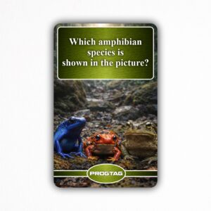 Which amphibian species is shown in the picture? - NFC Card