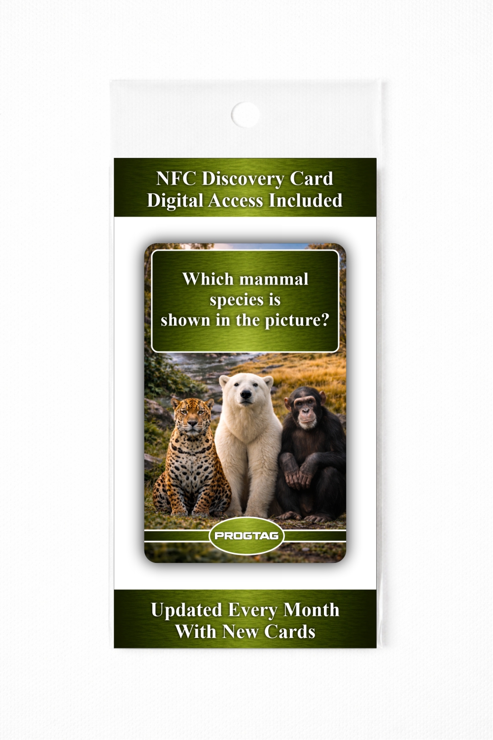 Which mammal species is shown in the picture? - NFC Card - Image 3