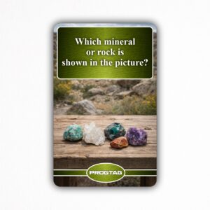 Which mineral or rock is shown in the picture? - NFC Card