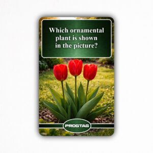 Which ornamental plant is shown in the picture? - NFC Card