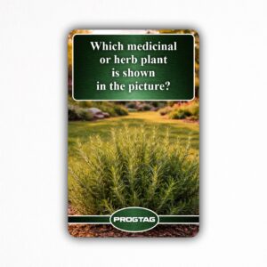 Which medicinal or herb plant is shown in the picture? - NFC Card