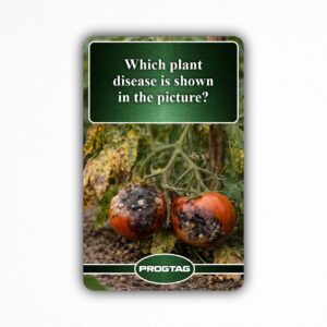 Which plant disease is shown in the picture? - NFC Card
