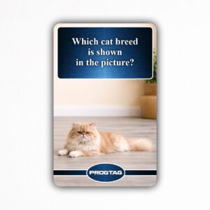 Which cat breed is shown in the picture? - NFC Card
