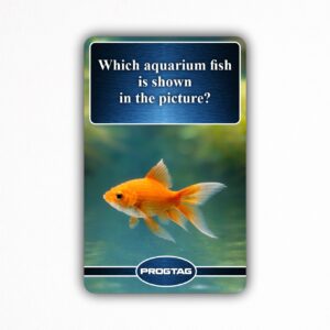 Which aquarium fish is shown in the picture? - NFC Card
