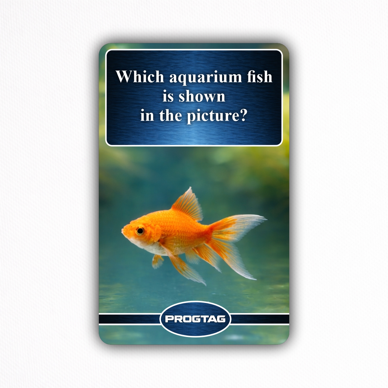 Which aquarium fish is shown in the picture? - NFC Card