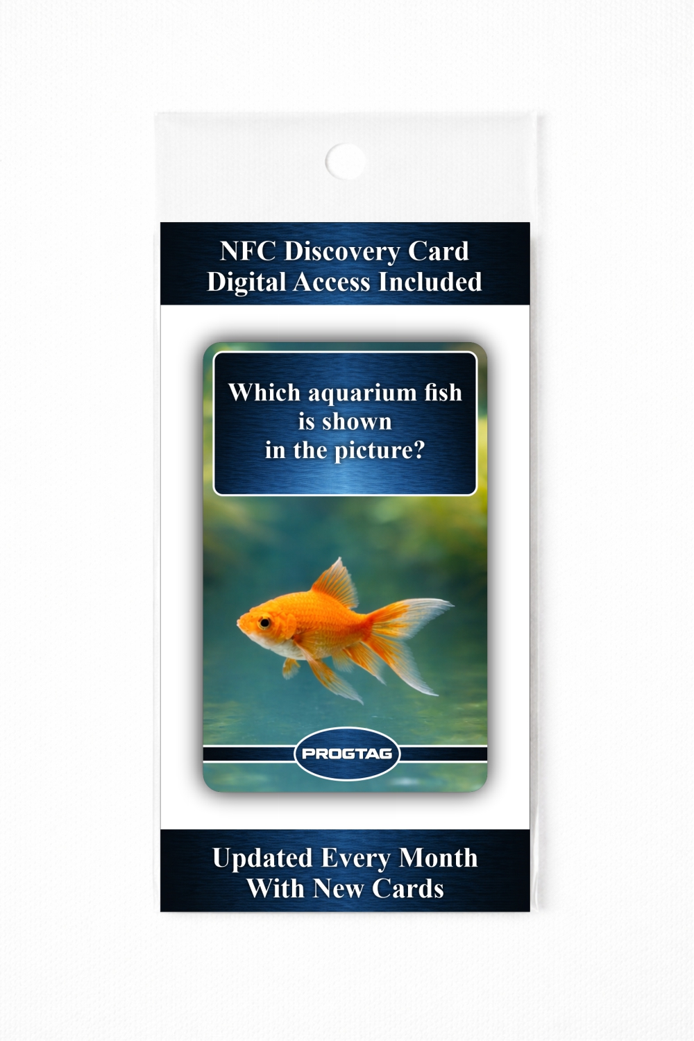 Which aquarium fish is shown in the picture? - NFC Card - Image 3