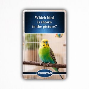 Which bird is shown in the picture? - NFC Card
